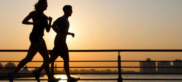 An Introduction to Joint Health