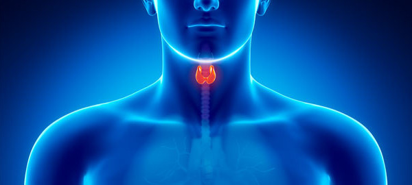 Thyroid Problems – the difference between ‘form’ and ‘function’