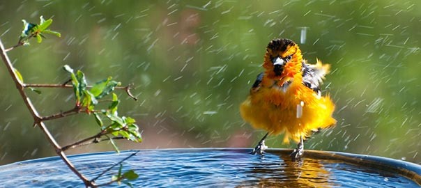 Get a spring in your step with a seasonal cleanse