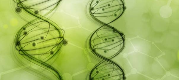 Nutrigenomics and Genetics – We are Pioneers!