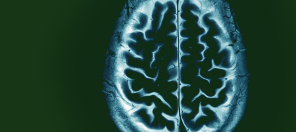 In the News – Health and Nutrition Research