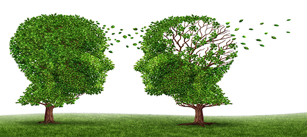 Why a Low Fat Diet and Statin’s May Cause Alzheimer’s