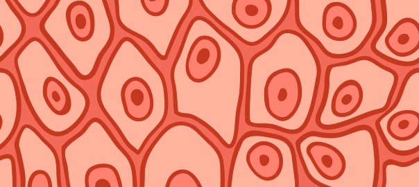 Eczema – Looking Beyond the Skin