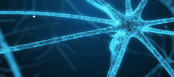 Could Alzheimer’s disease be ‘Type 3 Diabetes’?