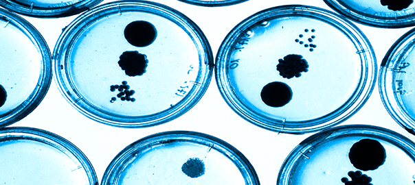 In the News – Health and Nutrition Research
