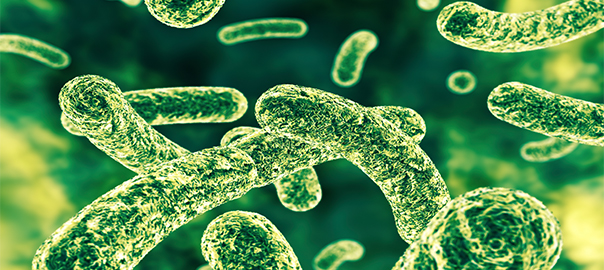 The Microbial Translocation of Lipopolysaccharide – A Key Mediator of Disease