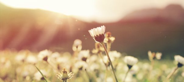 Vitamin D – New government guidelines