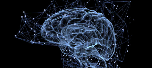In the News – Health and Nutrition Research
