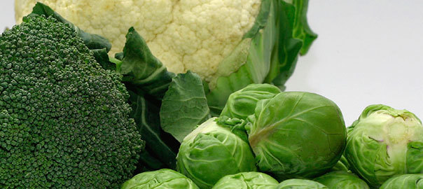 Vitamin K2 – For Cardiovascular Health, Fighting Cancers and Osteoporosis?