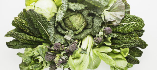Nutritional interventions for Multiple Sclerosis