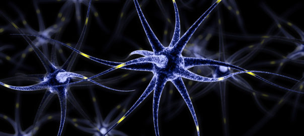 In the news – health and nutrition research
