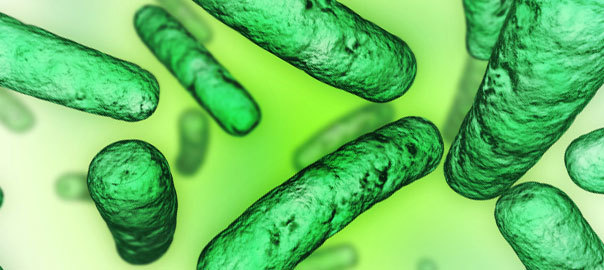 Antibiotics, Diarrhoea & Probiotics