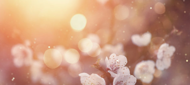 Hay Fever – the link with stress, sleep & nutrient deficiencies