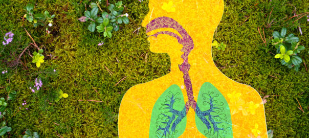 Asthma – risk factors & nutritional support