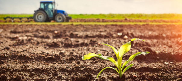 Selenium and its importance to human health