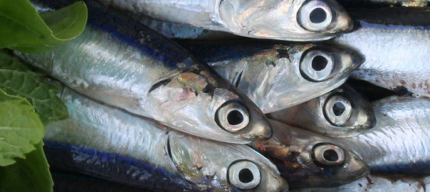 Research from the USA linking Omega-3 and prostate cancer