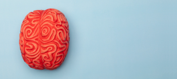 Lifestyle interventions to support brain health