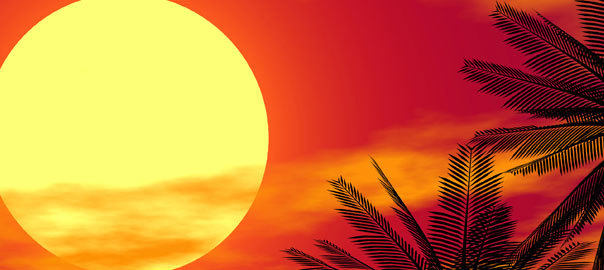 Vitamin and Mineral Loss in Hot Weather and when Exercising