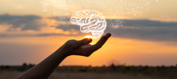 When your second brain gets old and what to do about it: the ageing of the enteric nervous system