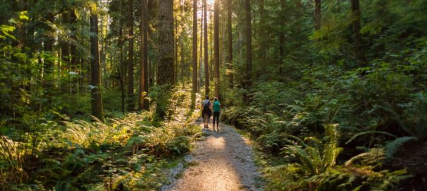 Selenium and Vitamin D – forms, functions and research