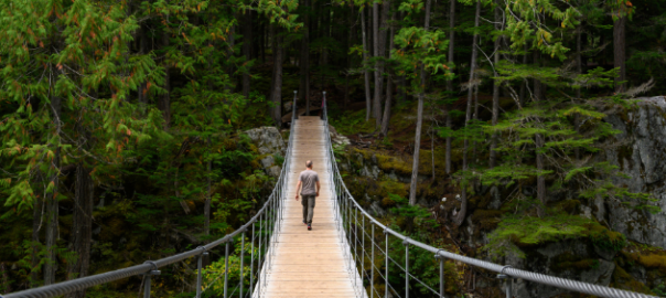 Bridging the nutrition gap with a multivitamin and mineral