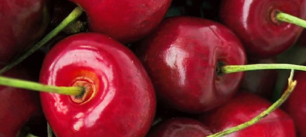 Health & Nutrition in the News