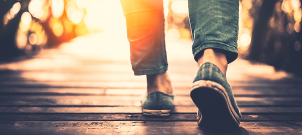 In the news – health and nutrition research