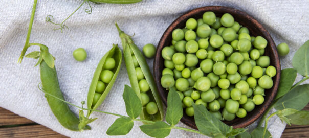 In the news – health & nutrition research