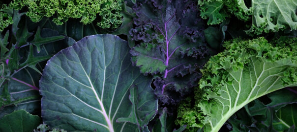 Is eating organic food better for your gut health?