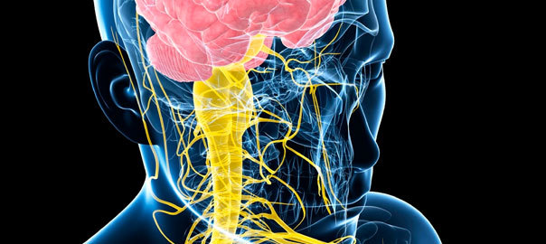 Alzheimers and Dementia research