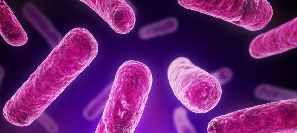 Are your tummy microbes making you Melancholic?