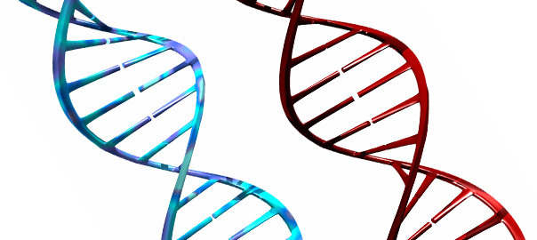 Nutrigenomics: Where nutrition meets genetics
