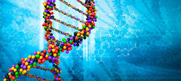 Emerging Research on Vitamin D, Omega 3 and Epigenetic Factors in Cancer Risks