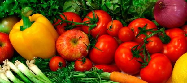 Our Genes throughout life – the importance of dietary components and Nutrition